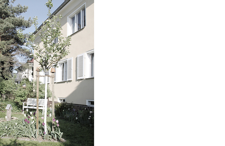 BILDER_PROJEKTE/Zweifamilienhaus 01/Zweifamilienhaus01h.jpg